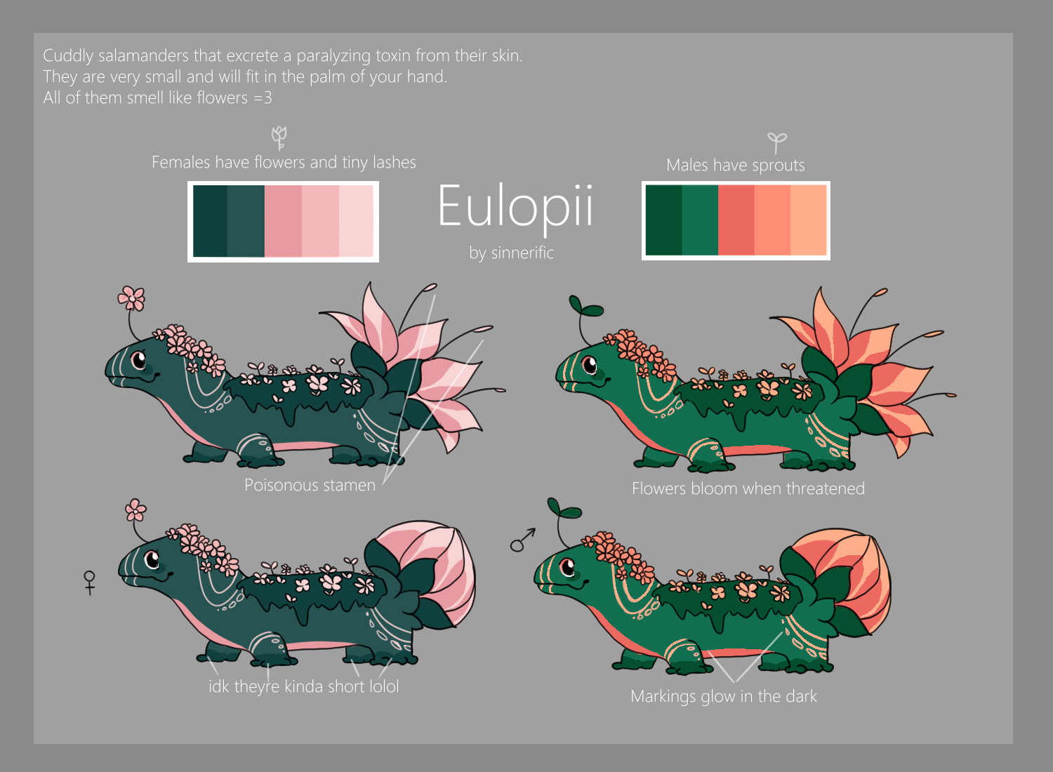 Eulopii Creatures Of Sonaria Wiki Fandom - roblox creatures of sonaria kemoti