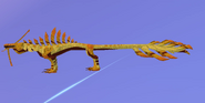 Old Harvest female Magnarothus