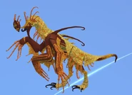 Old Harvest Garra Warden