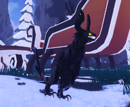 Melanistic male Prabiki