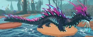 Adult Auraron