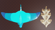 Chamei size comparison, top view, spread apart
