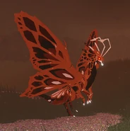 Smore Momola