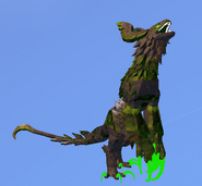 Overgrown male Prabiki