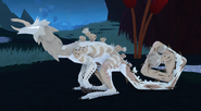 Leucistic Cantapodi