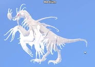 Albino Garra Warden