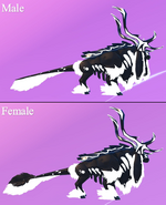 Custom Shimmer + Glimmer Molangai, highlighted