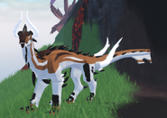 Former Piebald Chrysos