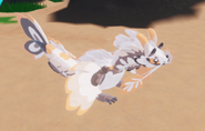 Koini sitting animation