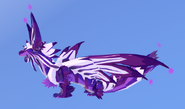 Amethyst male Phyremia