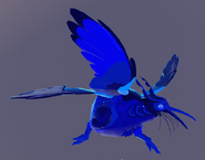 Sapphire Kiiwin