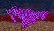 Fools Error Koini
