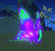Bewitched + Glimmer Momola