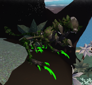 Overgrown Bolatra