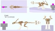 Former Prabiki reference sheet