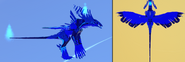 Sapphire male Qurugosk