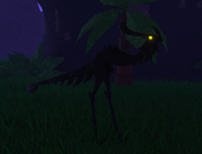 Melanistic Khiku