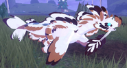 Piebald Koini