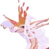 ErrideaOCIcon