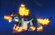 Shimmer male Koryser