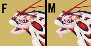 Dimorphism between male and female Taiyuelong
