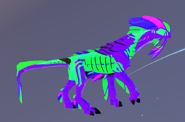 Old Bewitched Gloracus