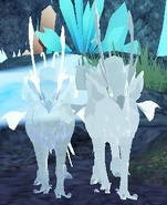 Gigantism (right) Kyiki and elder (left)