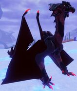 Blood Moon female Pterolythux