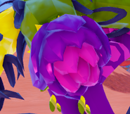 Old adult Cantapodi's tail flower