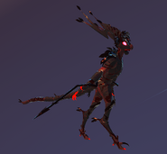 Blood Moon male Idrabark