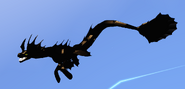 Old Melanistic Koipise, side view