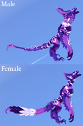 Amethyst Prabiki