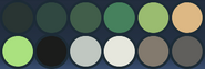 Aseliorus' primary color palette