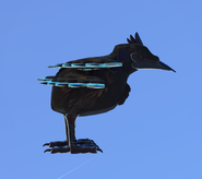 Old custom Glow Tail Kiiwin, highlighted; no glowing areas