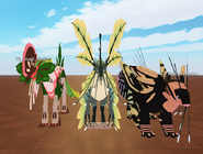 Size comparison with Aesho and Aholai
