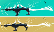 Custom Glow Tail + Glimmer Magnarothus, highlighted