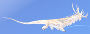 Leucistic Mufolium