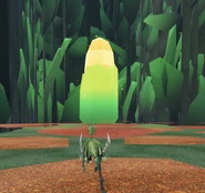 The Harvest Maze exit.