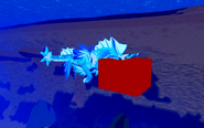 Koipise's hitbox