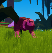 A previous glitched pink juvenile Lure
