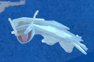 Leucistic Cupuere