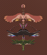 Size comparison, top view, lined up