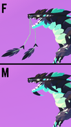 Dimorphism between male and female Traiboros