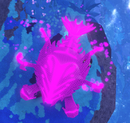 Fools Error + Glimmer Kavouradis