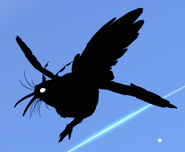 Shadow Kiiwin