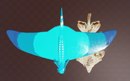 Chamei size comparison, top view, overlaid