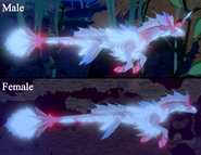 Shimmer Koipise in-game