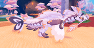 Adult Koini
