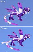 Amethyst Zoocuu