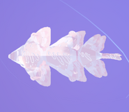 Pearl Cupuere, top view